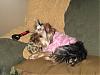 Jolie's new pink sweater-modeling-pink-sweater-blanke-ball-rez.jpg