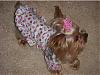 Tiffany in her new pj's from Go Fetch!-tiffnice3.jpg