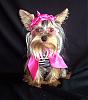 Warning, Cuteness Overload - Dixie in her pink shades-dixie-glasses-5.jpg