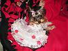 Uh Oh! Dadee Done It Ageen! Make Me A Girly Girl!-mattieprettydress2007-008.jpg