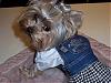 Teddi modeling her new overall dress!-oct2007-teddisnewclothes015.jpg