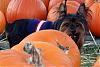It's been too long!-marty-fall-photos-028small.jpg