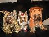 Lions & Tigers & Bears Oh My!!! Happy Halloween!!!-halloween11.jpg