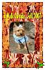 Wish you a HAPPY Fall!!-koda-fall-.jpg