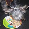 Sam's 1st Bday Party Pics!-sam-eat-cake.jpg