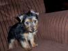 Romeo's First Pics!-picture-029.jpg