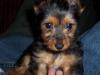 Romeo's First Pics!-picture-011.jpg