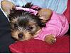 Pics of Layla as baby until now-cid_000301c74c00-931757c0-5c903162-your4dacd0ea75.jpg