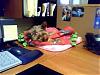 See how little Maddie spends her day at Mommy's Work-maddesk2.jpg