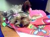 See how little Maddie spends her day at Mommy's Work-maddesk1.jpg