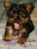 Favorite baby pics....-gucci-5.jpg