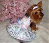 Lacy Modeling Her HK Winter Princess Dress by Go.Fetch!-snowflake4.jpg