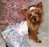 Lacy Modeling Her HK Winter Princess Dress by Go.Fetch!-snowflake9.jpg