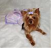 Lacy Modeling Her HK Winter Princess Dress by Go.Fetch!-stripe4.jpg