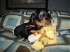 Lexie's puppies..what a difference 4 wks makes!-spook-4-weeks.jpg