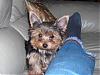 My Mindy & Bear together-halloweenmindybear044.jpg