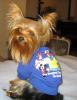 New pics of Olivia!-disneyshirt1.jpg