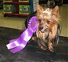 Best in Show at Petco Fashion Show-img_4535a.jpg