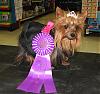Best in Show at Petco Fashion Show-img_4538a.jpg