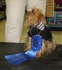 Best in Show at Petco Fashion Show-img_4543a.jpg