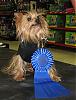 Best in Show at Petco Fashion Show-img_4548a.jpg