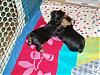 Pictures Galore of Lexie's pups @ 5 weeks!-11-16-little-halle-taking-bigger-one..jpg