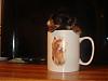 ♥Do you wanna see a REAL TEACUP YORKIE ??♥-dsc04237.jpg
