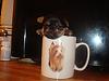 ♥Do you wanna see a REAL TEACUP YORKIE ??♥-dsc04228.jpg