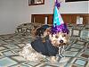 Happy Birthday Lucky!-luckys-3rd-birthday.jpg