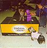 Kylee won Best in Show (LSU Dress) Petco Fashion Show-fashionshow0003_kylee_sm.jpg