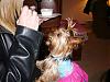 Long over Due Daisy Mae in her Cloe Bella-puppys-091.jpg