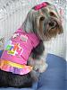 Today is Sophie's 3rd Birthday!-58536002.jpg