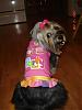 Today is Sophie's 3rd Birthday!-58535989.jpg