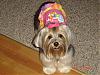 Today is Sophie's 3rd Birthday!-58535987.jpg