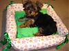 Lilly's finally finished bed-lillysbed-005.jpg