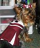 Delilah is ready for the Egg Bowl!!!-11.23.07-003.jpg