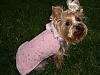 Pinky modeling her new coat.-pinkycoat1.jpg
