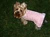 Pinky modeling her new coat.-pinkycoat2.jpg