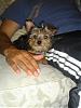Look at my Teddy Bear and his Daddy!!-dsc00020.jpg