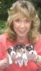 puppies and parents-rini-birgitalexchrys-68th-2_6.jpg