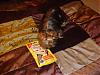 Diggy Sent Sukoshi Birthday Presents-dsc09285.jpg