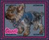 Gucci modeling her New denim harness from JOY-gucci-denim-harness-.jpg