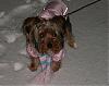 Let it snow, let it snow , let it snow!!!!!-keelysfirsttimeinthesnow.jpg