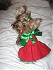 Sophie's Christmas Dress Pics-Chloe Bella-sophiexmas6.jpg