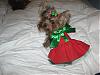 Sophie's Christmas Dress Pics-Chloe Bella-sophiexmas10.jpg
