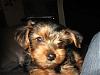 baby Mylo-picture-306.jpg