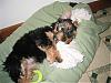 Bath time, Thanksgiving and more!-102622.jpg