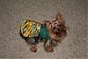 My lil Packer Fan!!!-dresses-005.jpg