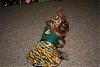 My lil Packer Fan!!!-dresses-008.jpg