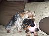 little miss roxy is home-babyroxy004.jpg